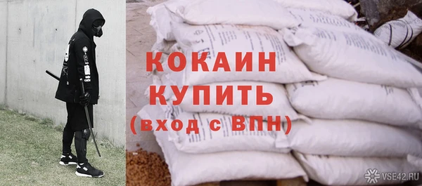 прущие грибы Нязепетровск