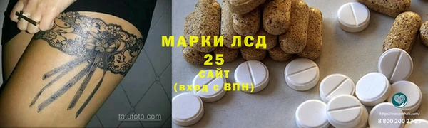 прущие грибы Нязепетровск