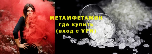 прущие грибы Нязепетровск