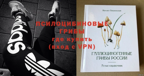 прущие грибы Нязепетровск
