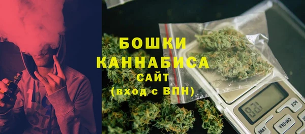 СК Новодвинск