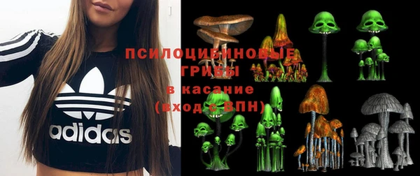 герыч Няндома