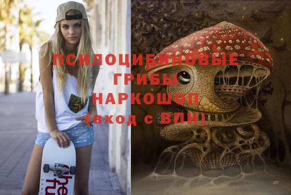 герыч Няндома