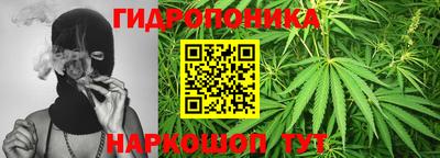 тгк Аргун