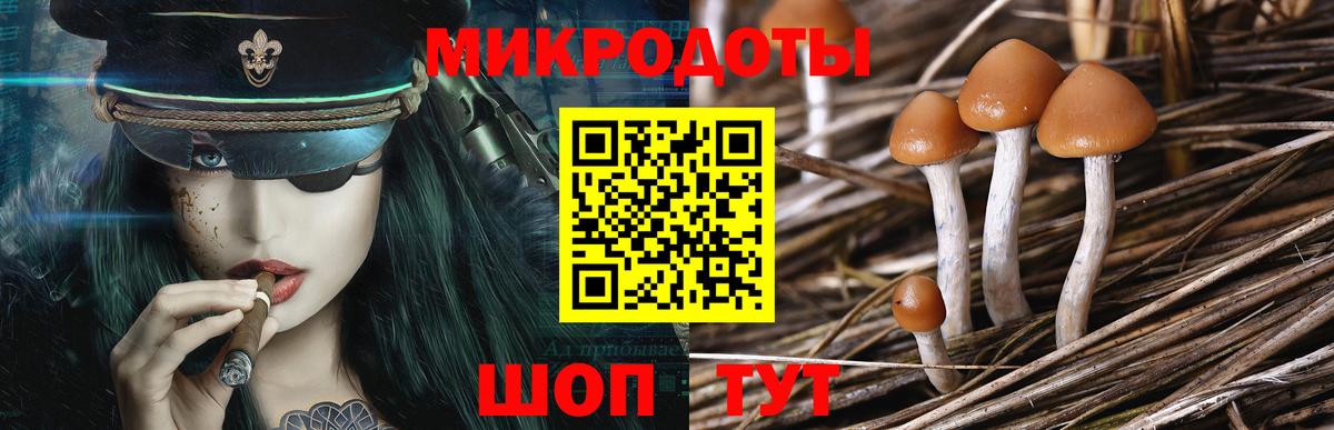 Псилоцибиновые грибы прущие грибы  Вход с VPN  Белореченск  Галлюциногенные грибы мицелий 