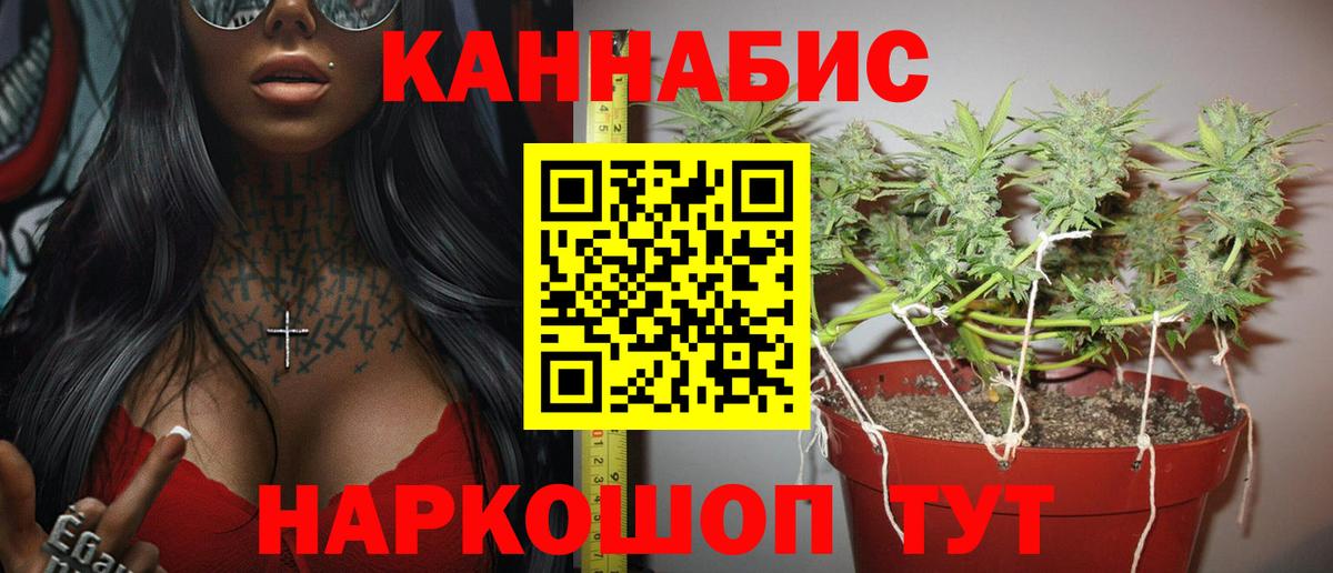 Шишки марихуана VHQ  Белореченск  Бошки Шишки SATIVA & INDICA  Бошки Шишки индика 